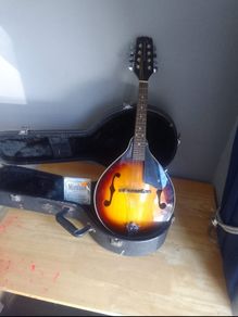 mandolin