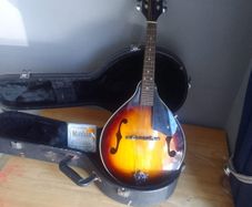 mandolin