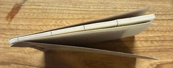 Rare Irish 1950 motor spirit ration book. Full book