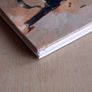 Zombies vs. Robots Aventure HC (IDW) Image 2