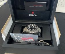Tudor Pelagos