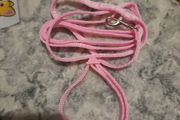 pink cat collar and lead