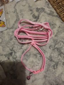 pink cat collar and lead