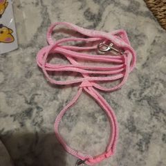 pink cat collar and lead