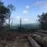 joanne dub10