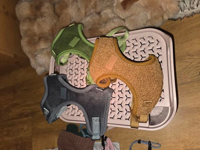 Dog Harness Bundle
