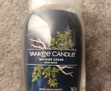 Yankee