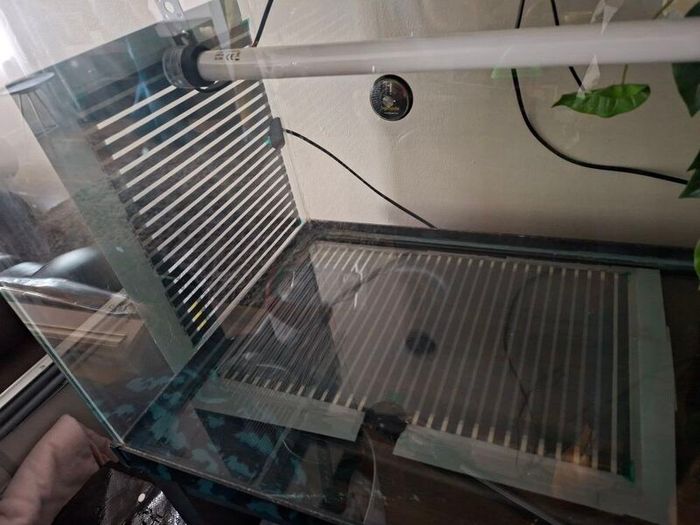 Leopard Gecko Vivarium / Reptile Tank , Full Setup