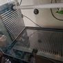 Leopard Gecko Vivarium / Reptile Tank , Full Setup Image 2