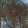 Mid Century Room Divider Screen Rohe Noordwolde Image 3