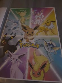 Pokemon poster
