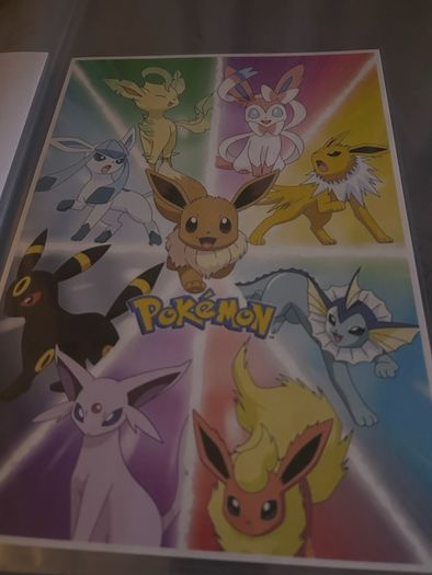 Pokemon poster
