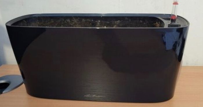 Pot