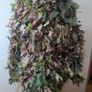 ghillie Image 6