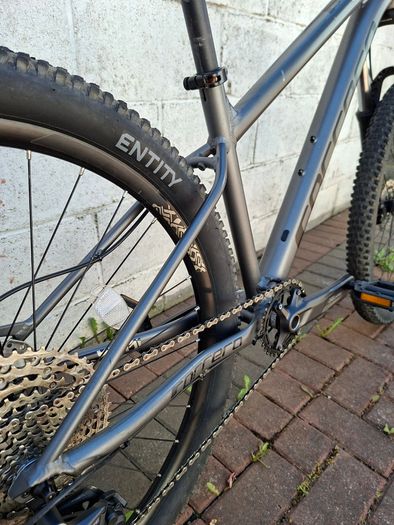 Carrera Sulcata 3.1