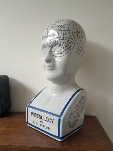 L.N. Fowler Phrenology Head 40cm