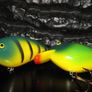 tasmanian devil lures wanted interested in old lures minnows tillins cobra Ashley spinner lures or tasmanian devils lures Image 6
