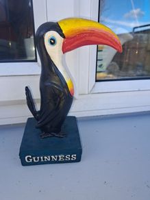 medium sized Guinness toucan
