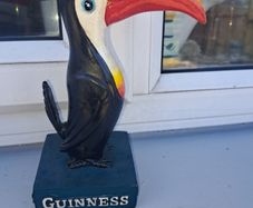 medium sized Guinness toucan