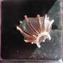 Goldmaid Sterling Silver 925 Ring Size O - 6,95g Image 7