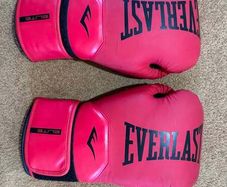 Boxing Gloves - Everlast  14 OZ Adult