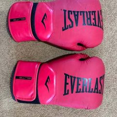 Boxing Gloves - Everlast  14 OZ Adult