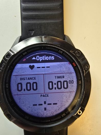 Garmin Fenix 6X Pro