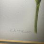 Original Elizabeth A. McEwen RUA - Tulips - Botanical Watercolour Image 7