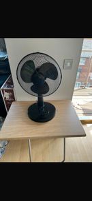fan
