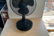 fan