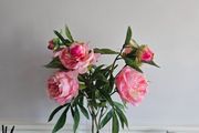 artificial pink flowers in a glass vase