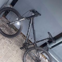 Carrara vengance 26