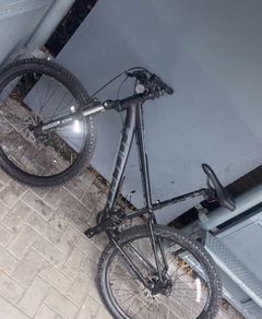 Carrara vengance 26