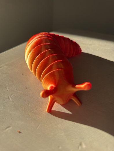 Large articulated Slug