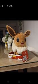 New pokemon teddy