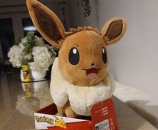 New pokemon teddy