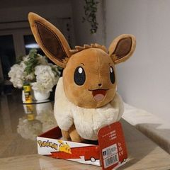 New pokemon teddy