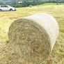 Round bales of Hay Image 3