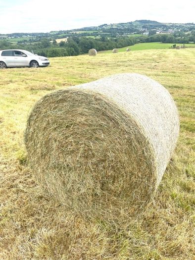 Round bales of Hay