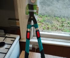 Telescopic Hedge Shear