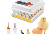 Automatic 16 Egg Incubator with Temperature Control