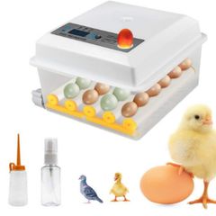 Automatic 16 Egg Incubator with Temperature Control