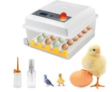 Automatic 16 Egg Incubator with Temperature Control
