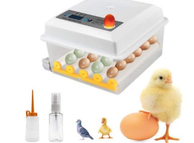 Automatic 16 Egg Incubator with Temperature Control