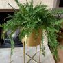 Gold planter Image 2