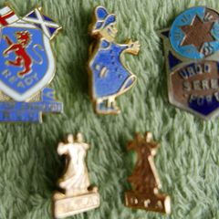 Vintage Enamelled  Badges