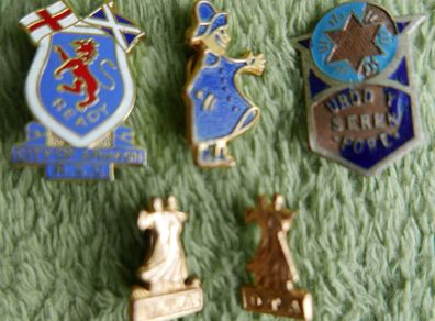 Vintage Enamelled  Badges