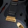 Fender Custom Thinline Stratocaster Image 5
