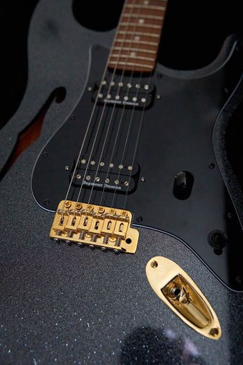 Fender Custom Thinline Stratocaster