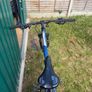 Blue Carerra Vulcan Image 7